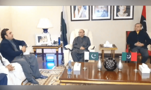 وفاق میں حکومت سازی کے لیے پیپلز پارٹی اور مسلم لیگ(ن) کا سیاسی تعاون پر اتفاق