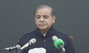 آزاد ارکان اکثریت ثابت کردیں ، ہم اپوزیشن میں بیٹھ جائیں گے، شہباز شریف