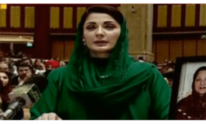 CM Maryam plans to transform Punjab into &lsquo;economic hub&rsquo;