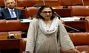 PML-N senator questions credibility of elections