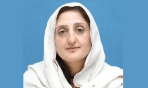 Elections for KP deputy speaker under way