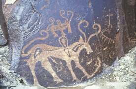Wapda to digitise prehistoric rock carvings at Diamer Basha Dam site