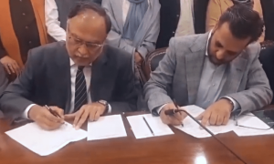 PML-N, MQM-P accord to empower local govts