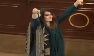 Action sought against PTI workers for &lsquo;throwing&rsquo; shoe in KP Assembly