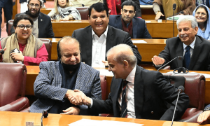 PML-N MNAs say Pakistan&rsquo;s &lsquo;journey to progress&rsquo; to resume with Shehbaz&rsquo;s election