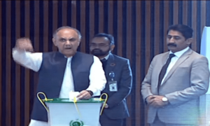 PTI&rsquo;s Omar Ayub chants pro-Imran slogan while casting presidential vote