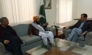 پیپلزپارٹی، جے یو آئی (ف) کا سینیٹ انتخابات میں تعاون کا فیصلہ