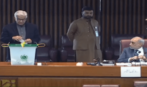 Defence minister votes in Senate by-polls