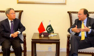 وزیرخزانہ سے چینی سفیر کی ملاقات، اقتصادی تعاون کو فروغ دینے پر اتفاق