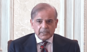 سرحد پار سے جو دہشت گردی ہو رہی ہے، اس کو برداشت نہیں کرسکتے، شہباز شریف