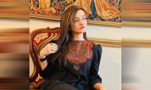سینیٹ انتخابات: صنم جاوید نے کاغذات نامزدگی مسترد کرنے کا فیصلہ الیکشن ٹربیونل میں چیلنج کردیا