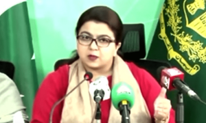 پالیسی لانی ہے، جس سے پرائیویٹ سیکٹر سرمایہ کاری کرنے سے کترائے نہیں، شزا فاطمہ
