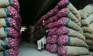 بھارت: عام انتخابات سے قبل پیاز کی برآمد پر پابندی میں غیرمعینہ مدت تک توسیع