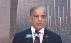 جس قوم کی معیشت مضبوط ہوتی ہے اس کی آواز سنی جاتی ہے، شہباز شریف