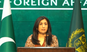 Pakistan calls on world to redouble efforts for &lsquo;just solution to Palestine question&rsquo;