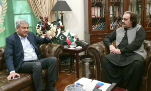 وزیر داخلہ کی وزیراعلیٰ خیبر پختونخوا سے ملاقات، امن و امان کی صورتحال پر گفتگو