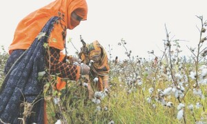 مالی سال 24-2023 کی دوسری سہ ماہی میں معیشت محض ایک فیصد بڑھی
