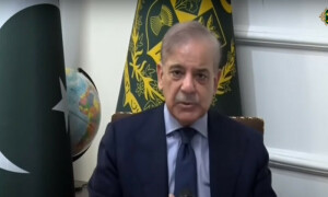 بشام واقعہ میں ملوث عناصر نہیں چاہتے پاک-چین دوستی آگے بڑھے، وزیراعظم