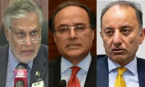 Coalition sweeps polls on 19 Senate seats