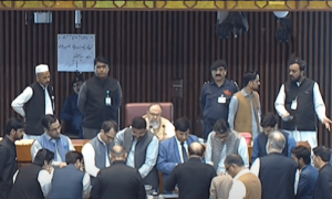 Senate elections