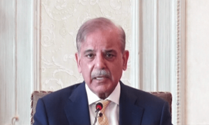 مشکوک خطوط کے معاملے پر تحقیقات کرائیں گے، شہباز شریف