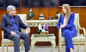 وزیر داخلہ کی برطانوی ہائی کمشنر سے ملاقات، کرکٹ سیریز سمیت دوطرفہ سکیورٹی تعاون پر گفتگو