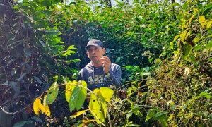 Why farmers in India and Pakistan are shifting to &lsquo;regenerative&rsquo; farming