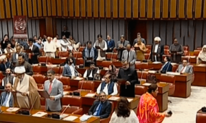 Senate chooses its custodians amid PTI walkout