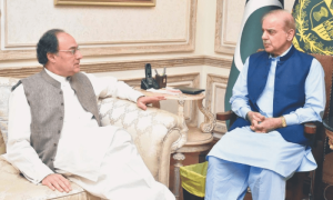 وزیر خزانہ کی امریکا روانگی سے قبل وزیراعظم سے ملاقات