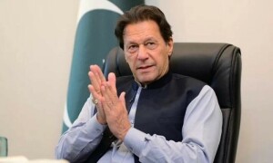 ملک میں جنگل کا قانون ہے جس کی وجہ سے سرمایہ کاری نہیں آئے گی، عمران خان