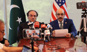 وفاقی وزیرخزانہ کو پی آئی اے کی نجکاری جون کے آخر تک ہونے کی توقع
