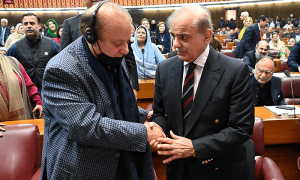 مسلم لیگ(ن) کا شہباز شریف کو پارٹی صدارت سے ہٹانے کا فیصلہ