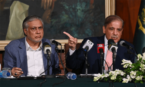 وزیراعظم نے اسحٰق ڈار کو نائب وزیراعظم مقرر کردیا
