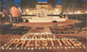 US university demonstrators stand strong in face of police action