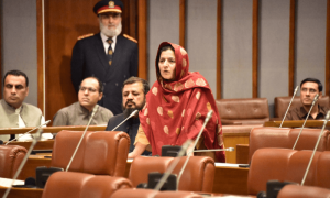 Senators question US firm&rsquo;s role in FBR digitisation