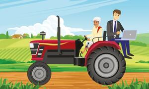 Embedding Agriculture in the Business Portfolio