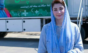 چاہتی ہوں تنقید کرنے والوں کی بھی ٹک ٹاک ویڈیوز بنیں، مریم نواز