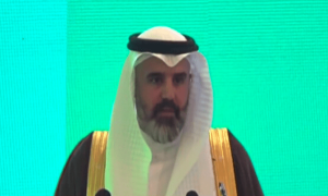 پاکستان کو اہم عالمی شراکت دارکے طور پر دیکھنا چاہتے ہیں، سعودی نائب وزیر سرمایہ کاری