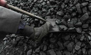 Questions arise over coal import for power plants