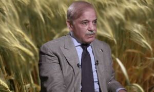 وزیراعظم کا گندم بحران پر ایم ڈی پاسکو سمیت 2 افسران کو معطل کرنے کا حکم