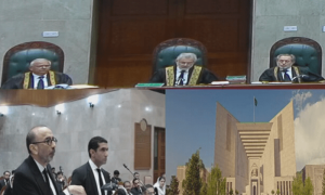 نیب ترامیم کالعدم قرار دینے کیخلاف درخواست: عمران خان کو بذریعہ وڈیولنک پیش ہونے کی اجازت