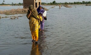 وزیر اعظم نے پاکستان موسمیاتی تبدیلی اتھارٹی کے قیام کی منظوری دے دی