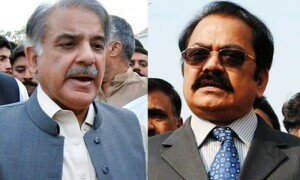 شہباز شریف مسلم لیگ (ن) کے قائم مقام صدر، رانا ثنااللہ چیف الیکشن کمشنر مقرر