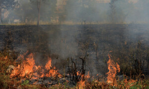 Margalla Hills blaze blamed on &lsquo;sizzling heat&rsquo;