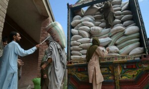 گندم کی نقل و حمل پر کوئی پابندی عائد نہیں کی گئی، حکومت پنجاب
