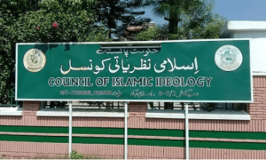 ڈاکٹر راغب حسین نعیمی چیئرمین اسلامی نظریاتی کونسل مقرر