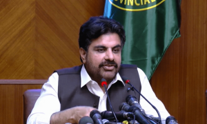 ہیٹ ویو میں لوڈ شیڈنگ کے سبب کسی کا انتقال ہوا تو مقدمہ کےالیکٹرک پر ہوگا، ناصر شاہ