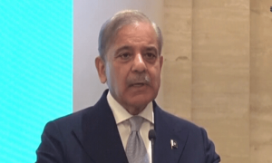 متحدہ عرب امارات سے قرض نہیں بلکہ مشترکہ سرمایہ کاری چاہتے ہیں، وزیر اعظم