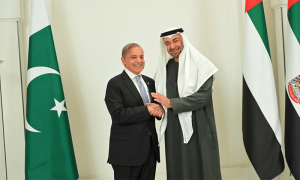 متحدہ عرب امارات کی پاکستان میں 10ارب ڈالر سرمایہ کاری کی یقین دہانی