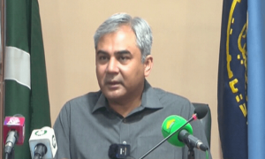 چینی شہریوں پر حملے میں افغان سرزمین استعمال ہوئی، وزیر داخلہ